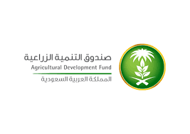 Logo Images